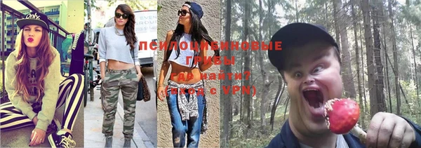 соль курить ск Алексеевка