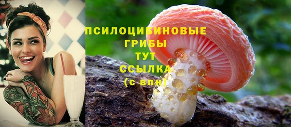 ГАЛЛЮЦИНОГЕННЫЕ ГРИБЫ Алексин